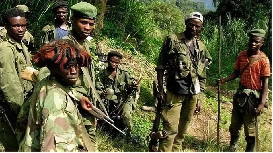 Des rebelles FDLR.